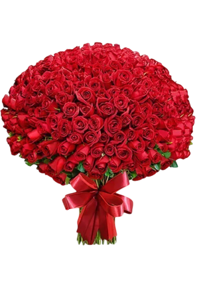 Buquê gigante de rosas